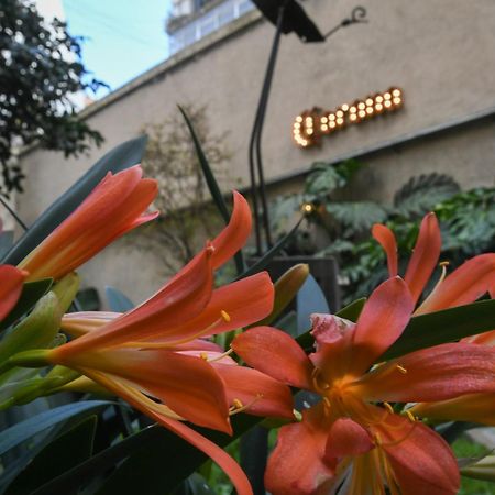 Casa Franca Recoleta Hostel Boutique บัวโนสไอเรส ภายนอก รูปภาพ